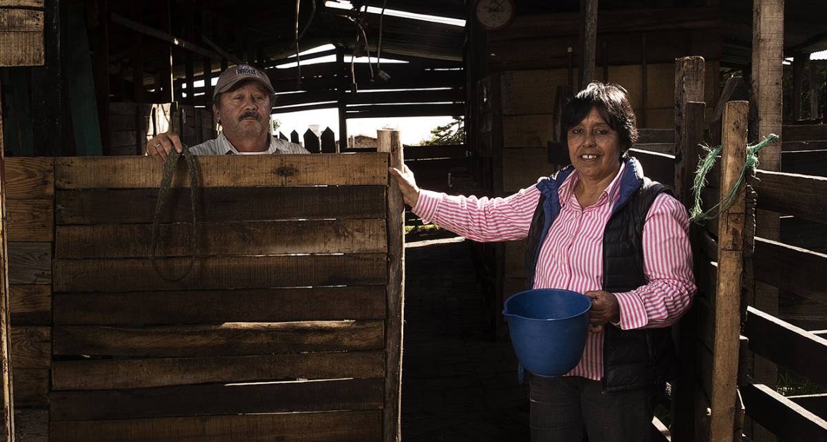 Astrid Orjuela. Un centro genético para lograr la cabra perfecta