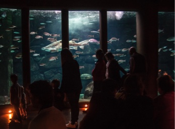 Aquarium Finisterrae de A Coruña