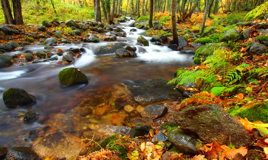 Otoño Mágico en el Valle del Ambroz