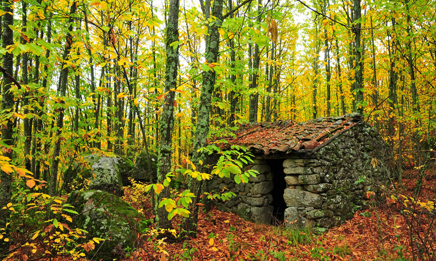 Otoño Mágico en el Valle del Ambroz