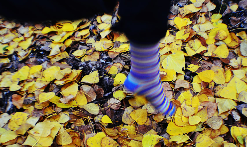 Otoño Mágico en el Valle del Ambroz