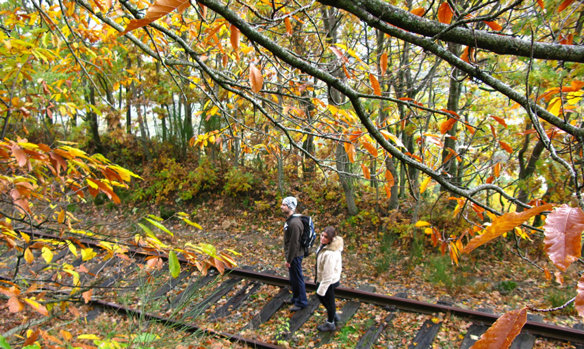 Otoño Mágico en el Valle del Ambroz