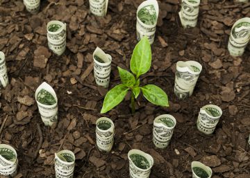 Tres ‘startups’ para ganar dinero invirtiendo de forma sostenible