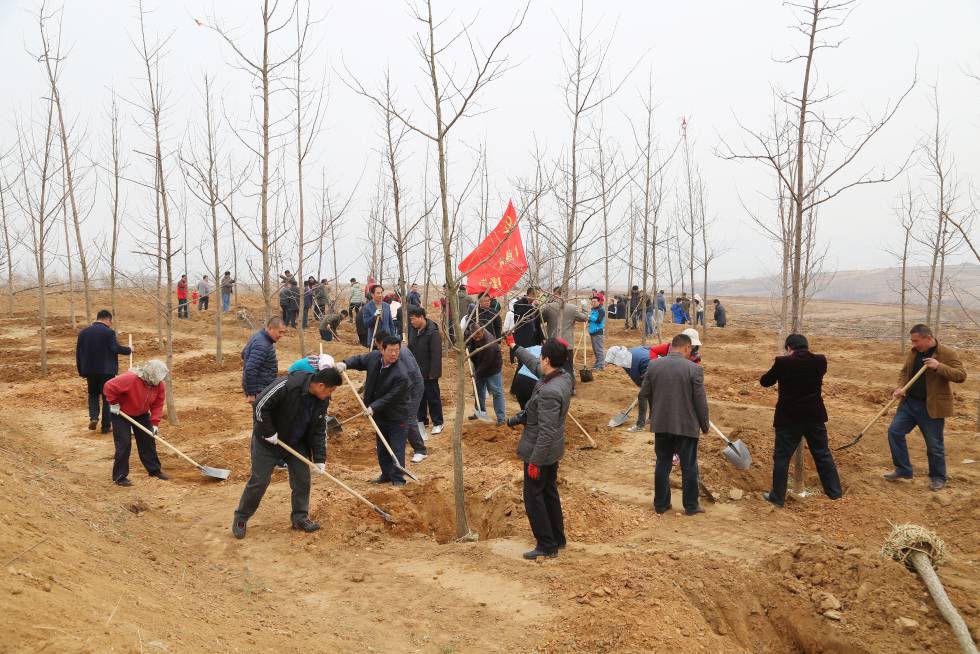 Decenas de personas plantan Ã¡rboles en Rizhao, en la provincia china de Shandong, en marzo de 2016.