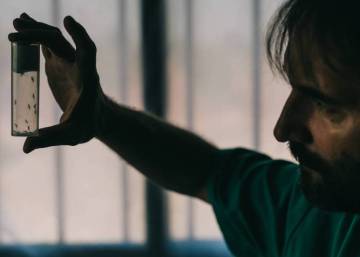 Así será la batalla definitiva contra el mosquito tigre