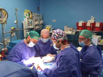 Un momento de la operación realizada en Valencia.
