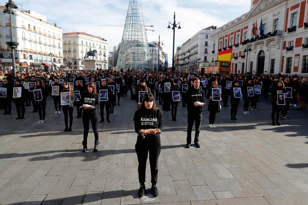 Miembros de Igualdad Animal muestran cerdos y pollos muertos el pasado diciembre, en la Puerta del Sol (Madrid).
