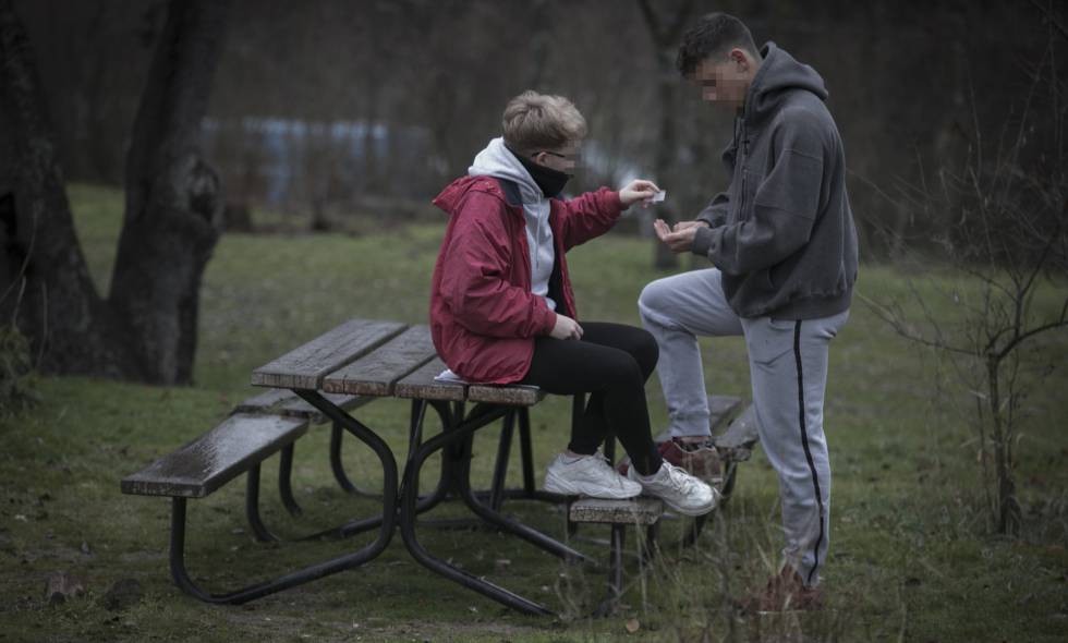 Se un adolescente feliz nueva edicion