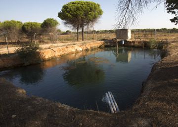Bruselas denuncia a España por la inacción ante el robo de agua en Doñana