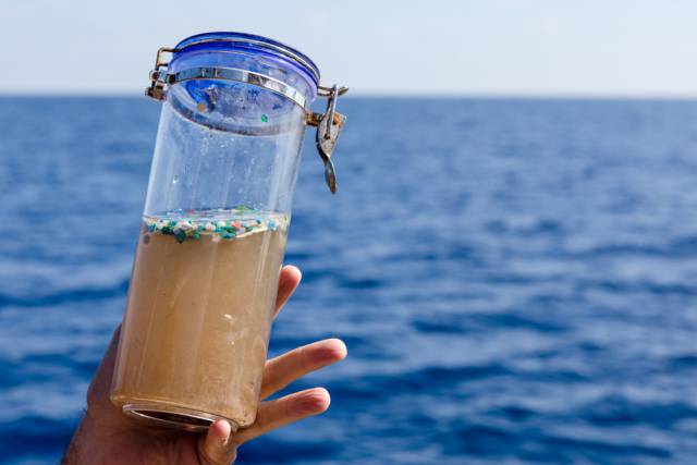 Microplásticos recogidos en el Mediterráneo.