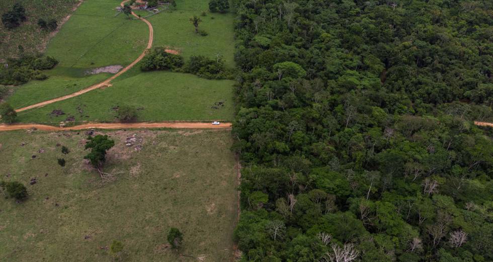 Territorio indÃgena de los Surui, en el Estado de Rondonia, en la Amazonia.