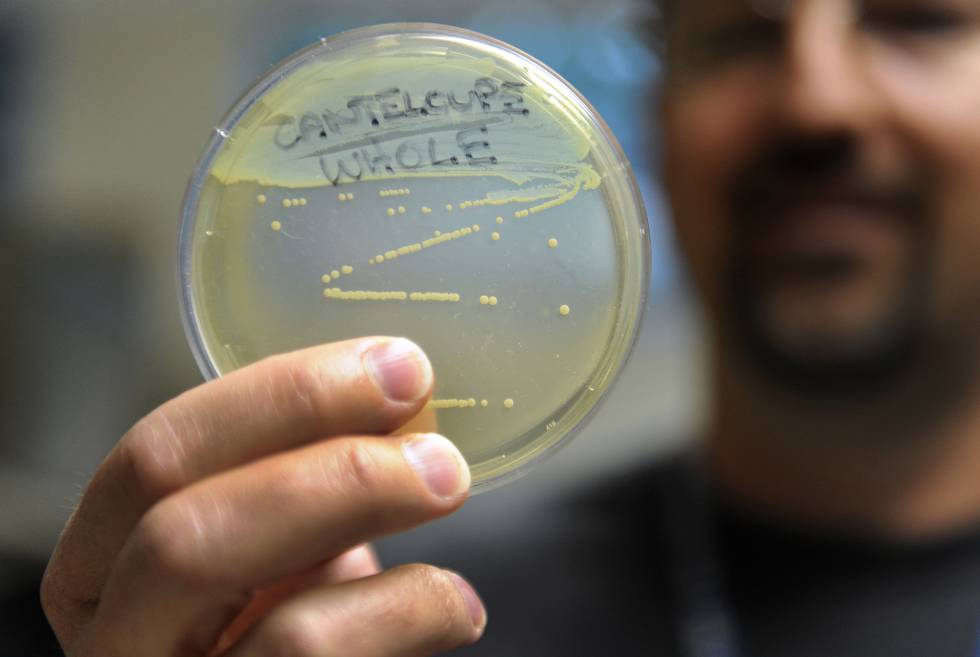 Un empleado del departamento de salud pública de Colorado sostiene una muestra de 'Listeria'.