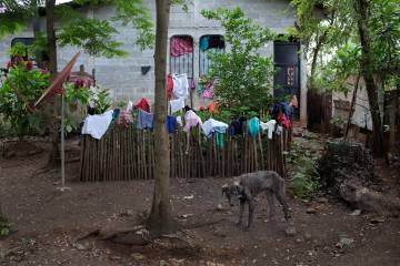 Un pueblo maya contra un gigante ruso del níquel