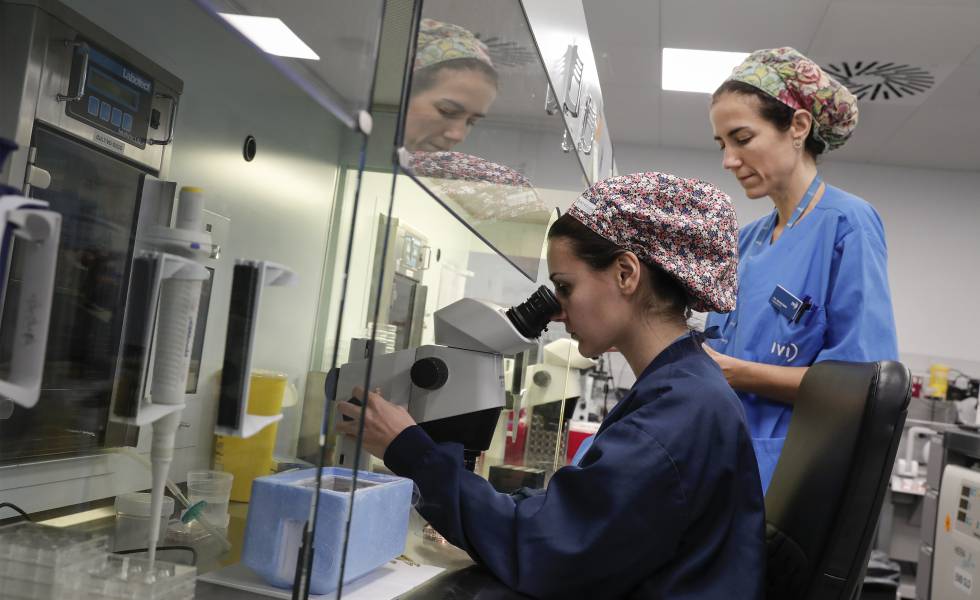 Un laboratorio del Instituto Valenciano de Infertilidad (IVI).