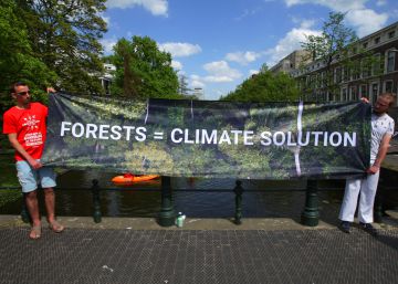 Protesta de Greenpeace en la embajada de Brasil en Holanda por la deforestación. 