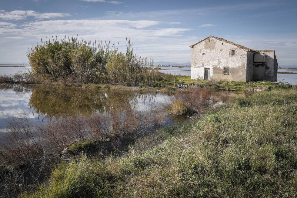 La Fiscalía investiga el “alarmante” descenso del nivel de agua en la Albufera de Valencia