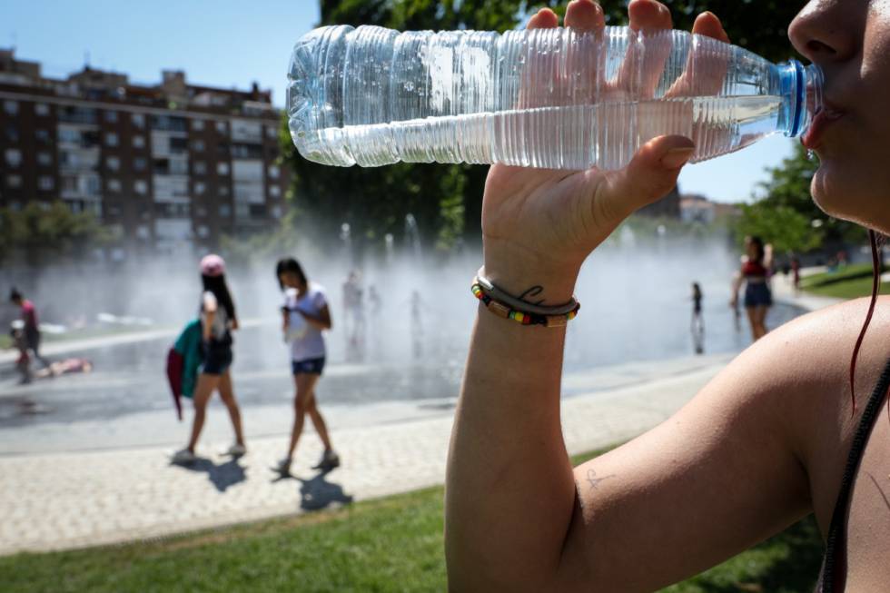 La OMS urge a investigar el impacto de los microplásticos en la salud
