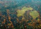 África arde más que la Amazonia