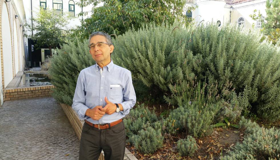 Pere Godoy, presidente de la Sociedad Española de EpidemiologÃa.