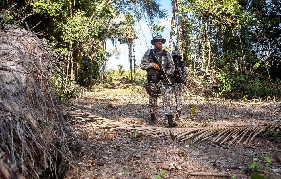 Agentes de la Fuerza Nacional buscan a las personas que deforestan una zona protegida de la Amazonia. 