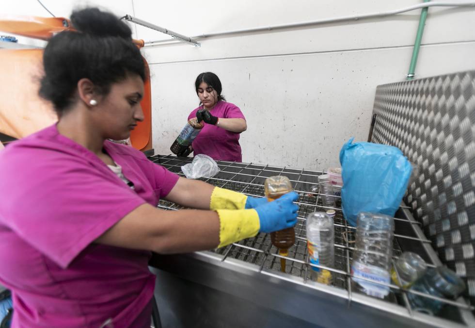 aceite usado