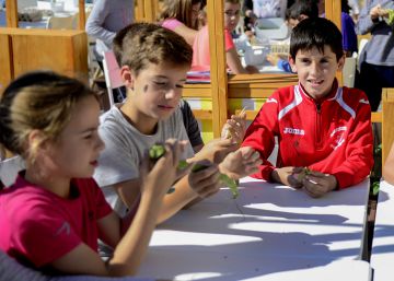 ¿Qué pueden hacer los colegios contra el cambio climático? Participe