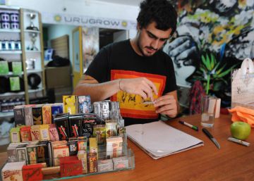Uruguay registra una caída del tráfico de marihuana tras la legalización