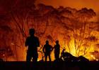 La biodiversidad australiana, en llamas
