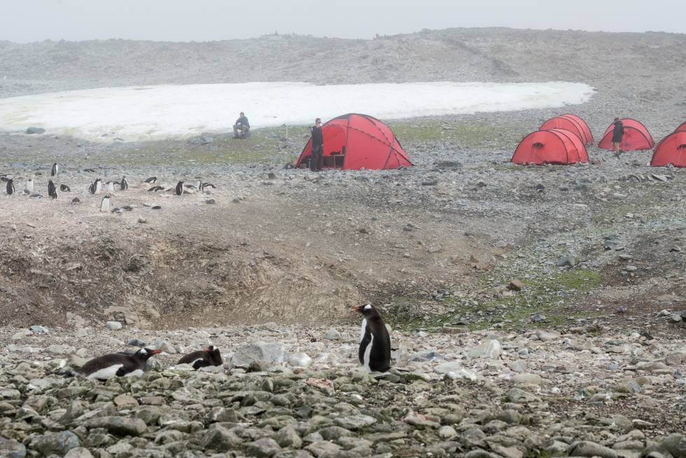 Campamento en una isla de la Antártida donde no existen registros de que alguien haya dormido allí antes.