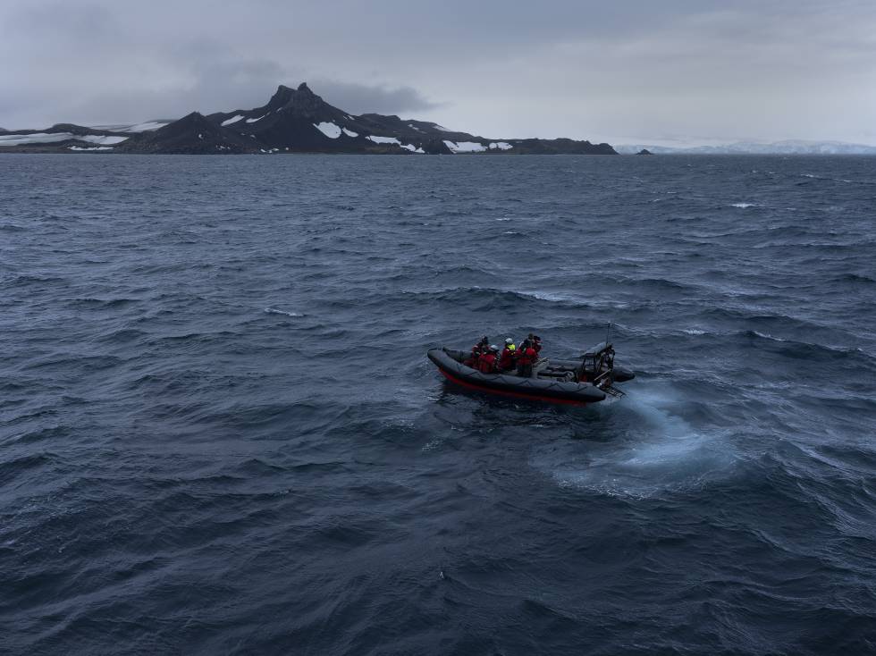 Científicos recolectan ADN por primera vez de especies que viven en la región de Discovery Bay de la Antártida.