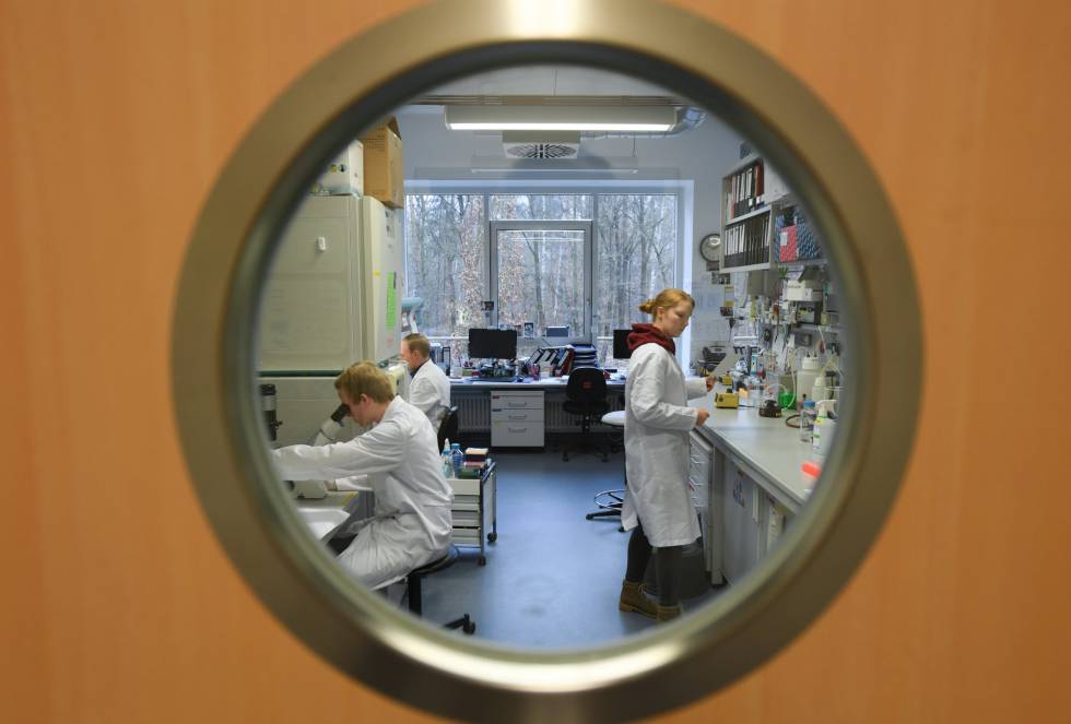Trabajadores del Instituto de Virología de la Universidad Philipps de Marburgo (Alemania), que investiga una vacuna contra el coronavirus de Wuhan.