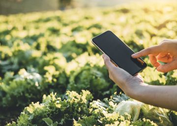 La economía colaborativa y circular como filosofía de vida