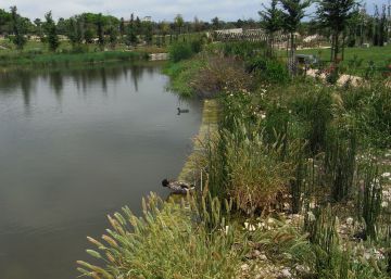 Cuidar de la biodiversidad para proteger nuestra salud