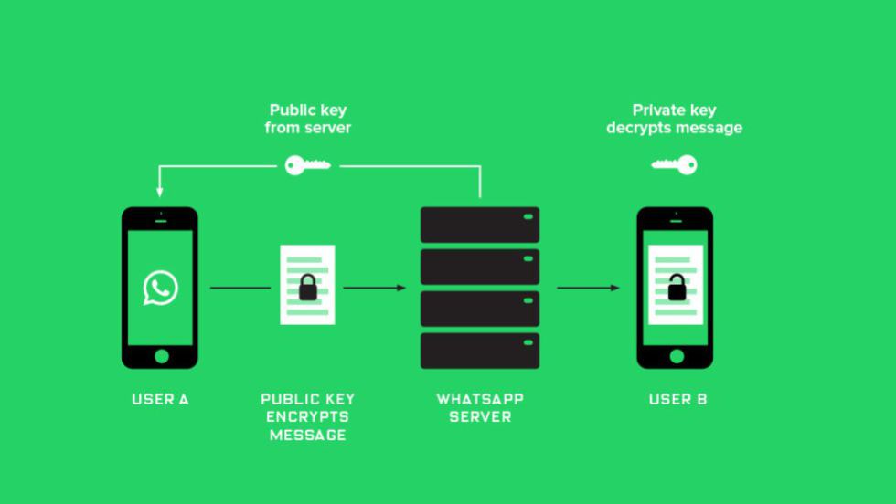 O que é a criptografia no WhatsApp e porque é tão importante