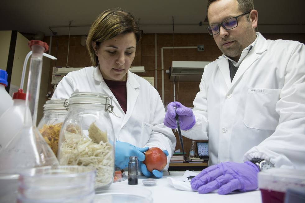 Los investigadores de la Universidad de Málaga Susana Guzmán y Alejandro Heredia.