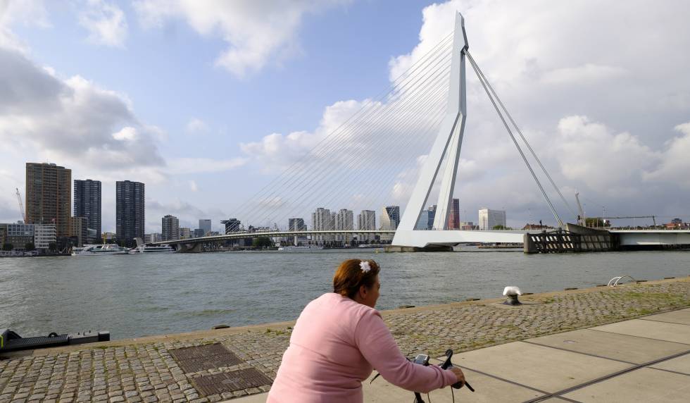 Puente de Erasmo en Róterdam, una de las ciudades en que operaba SyRI.