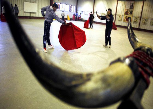 Clases de Tauromaquia en la Escuela de Madrid