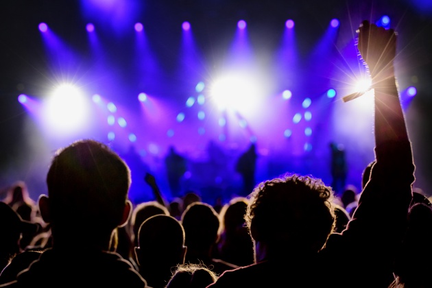 Asistentes a un concierto