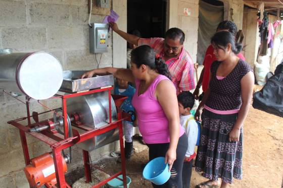 nixtamal para tortillas