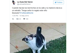 Foto de la noticia