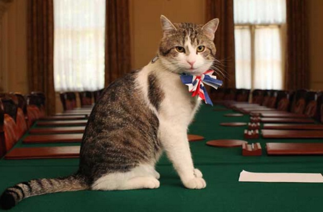 El gato Larry se queda en el 10 de Downing Street | Verne EL PAÍS