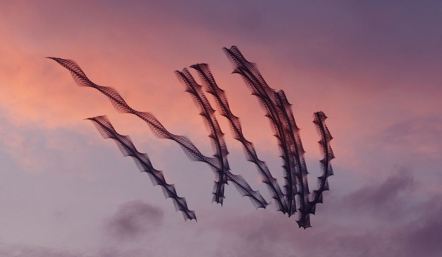 Fotografía cortesía Xavi Bou