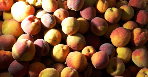 Fotograf&iacute;a: Secretar&iacute;a de Agricultura, Ganadera, Desarrollo Rural, Pesa y Alimentaci&oacute;n (Sagarpa).