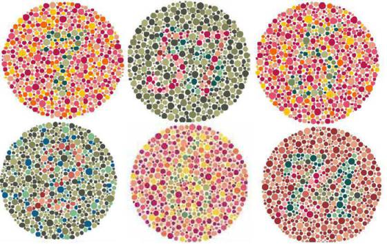Cómo ven las personas daltónicas? Las apps que te permiten mirar el mundo  como si tuvieras ceguera al color - BBC News Mundo