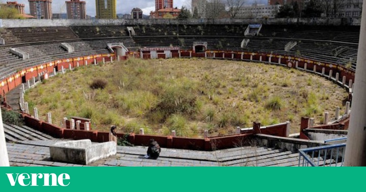 Antes había toros, ahora plantas: la historia de la plaza 