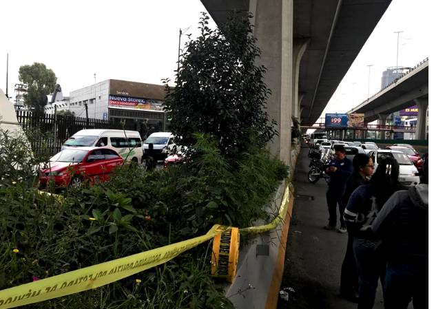 Elementos del ej´rcito acordonaron la zona para retirar las plantas. Foto: @shademsky. 
