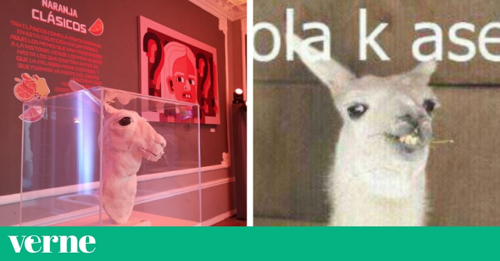 'Ola ke ase', visitando un museo de memes o 'ke ase' | Verne México EL PAÍS
