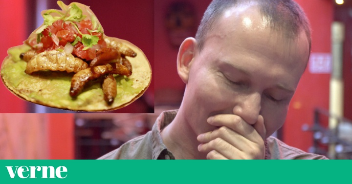 Pollo Con Insecto ¡Sabe a pollo! Así reaccionan los extranjeros al probar insectos de la ...