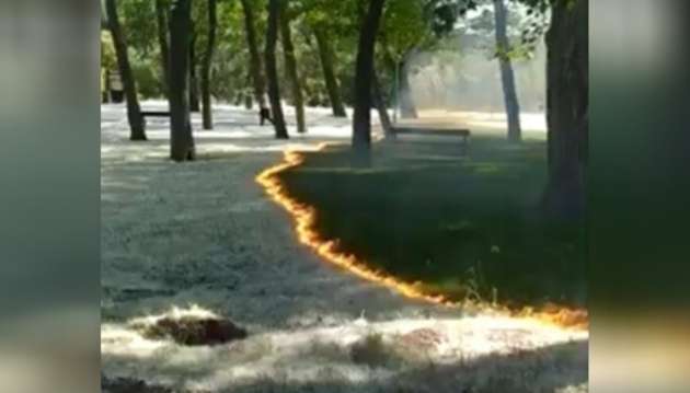 Una imagen del vídeo con las semillas de chopo ardiendo