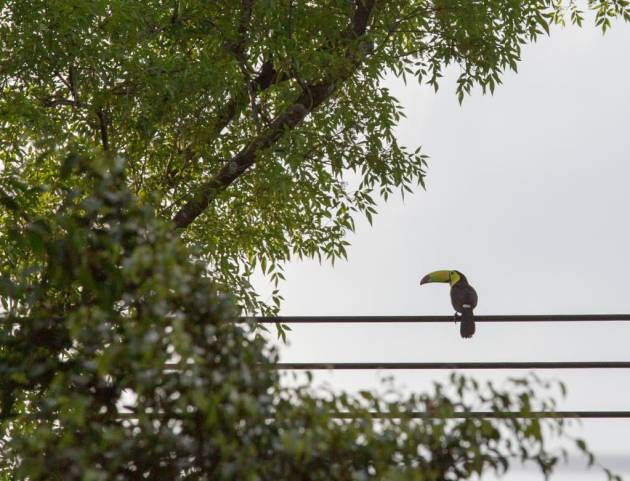 Foto de @huidobropacorro en Twitter. 